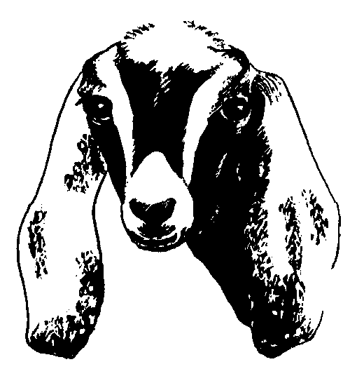 free cartoon goat clip art - photo #48