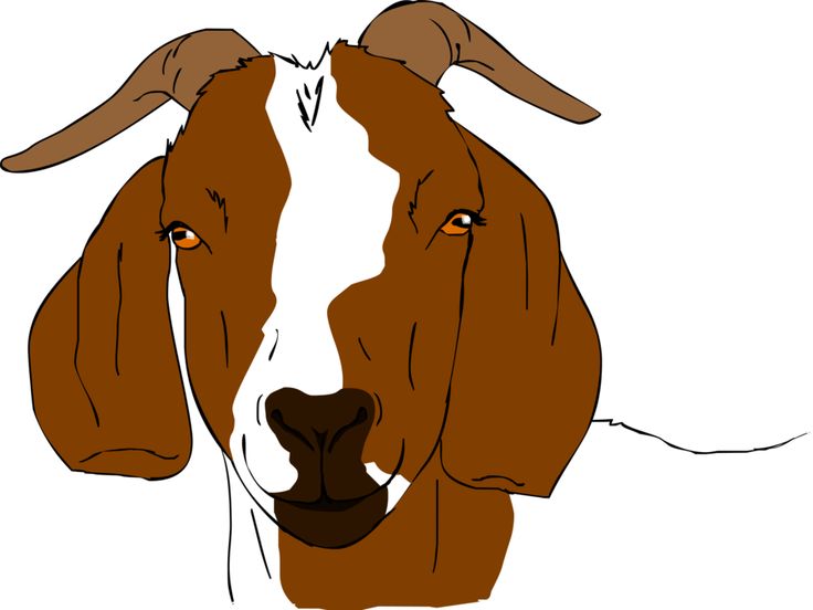 free cartoon goat clip art - photo #28