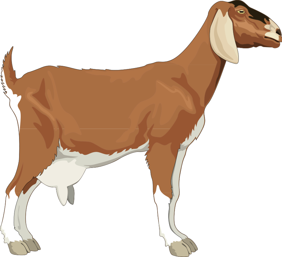 free animated goat clipart - photo #10