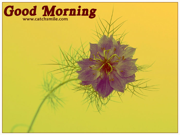 clipart of good morning - photo #30