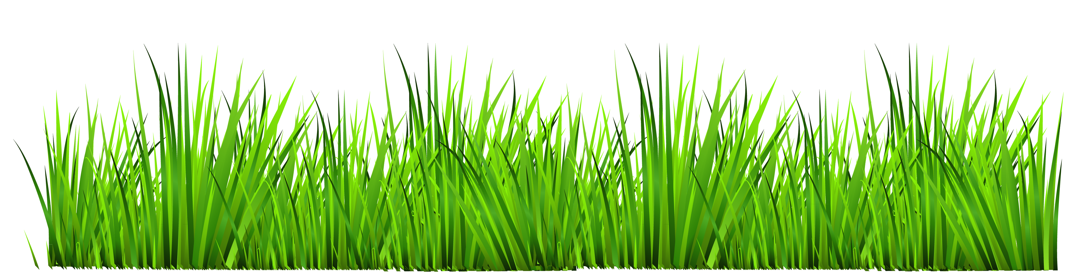 Free Grass Clip Art Pictures Clipartix