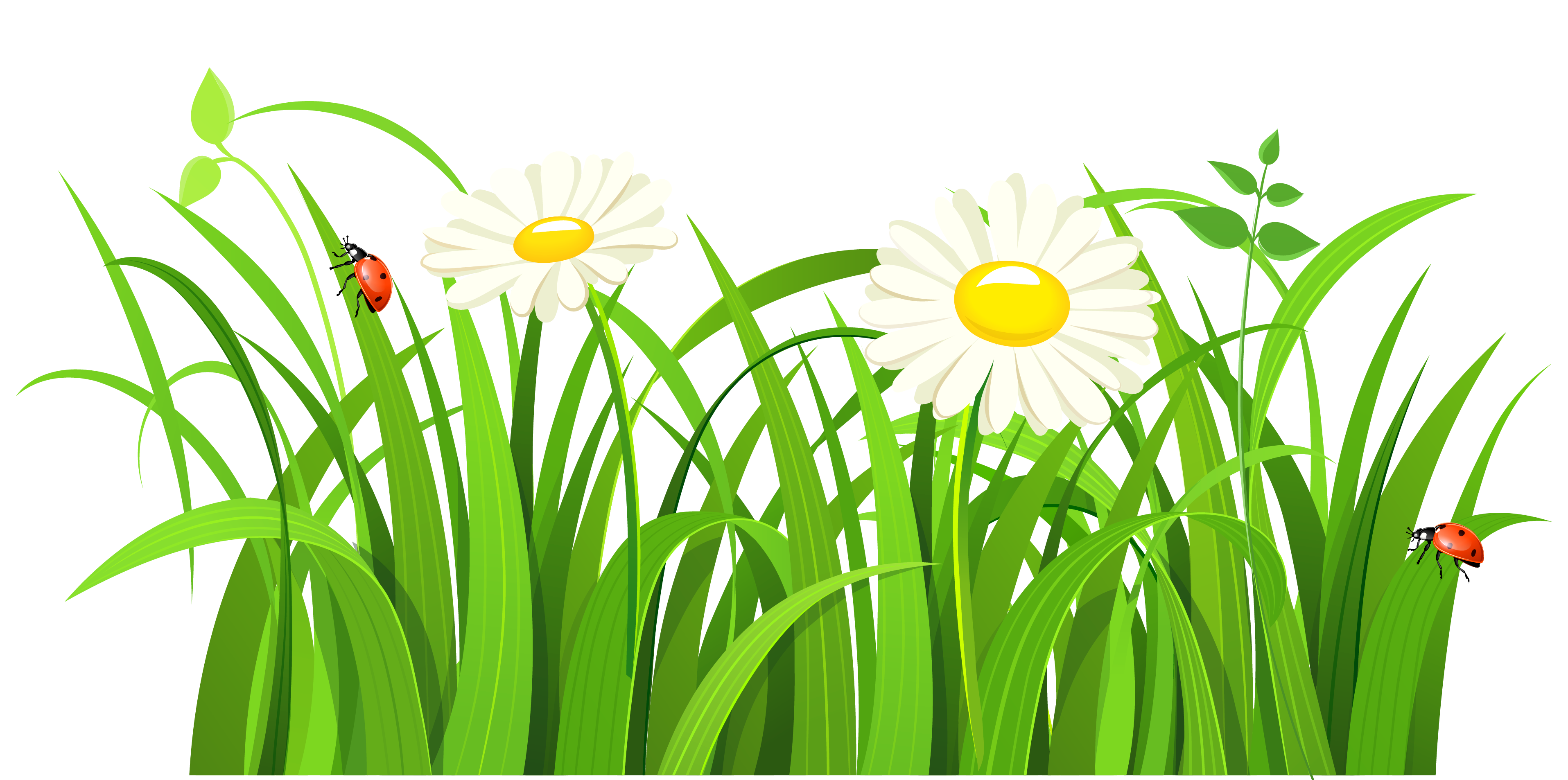 png clipart grass - photo #30