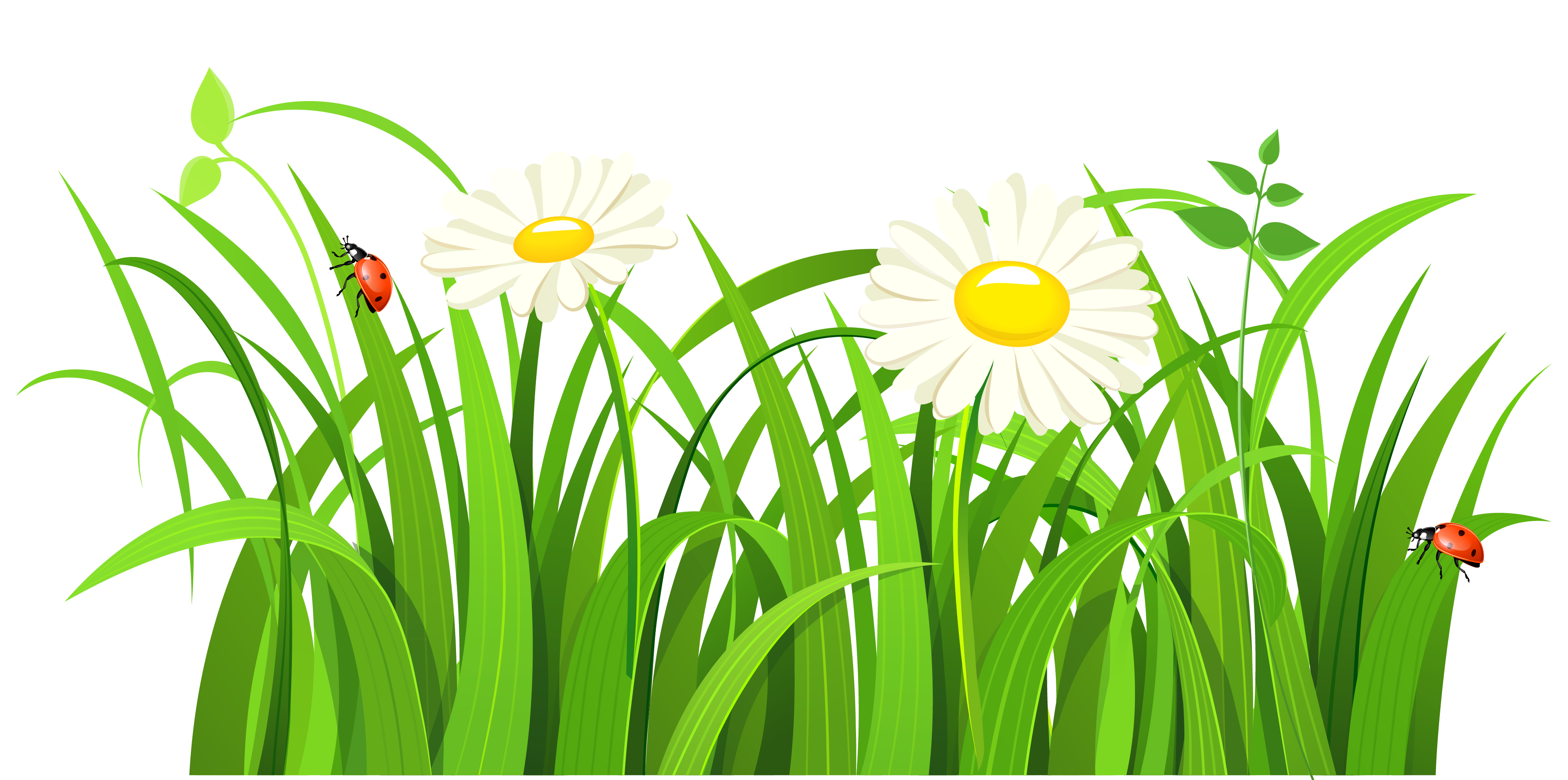 free clip art of grass - photo #40