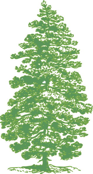pine tree clip art vector - photo #31