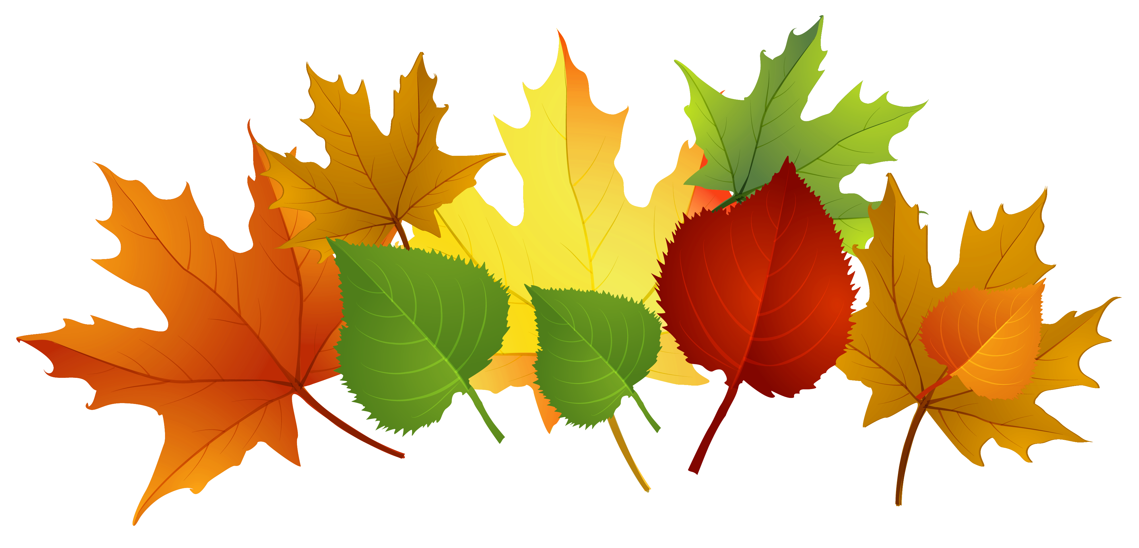 clip art of leaves for fall - photo #9