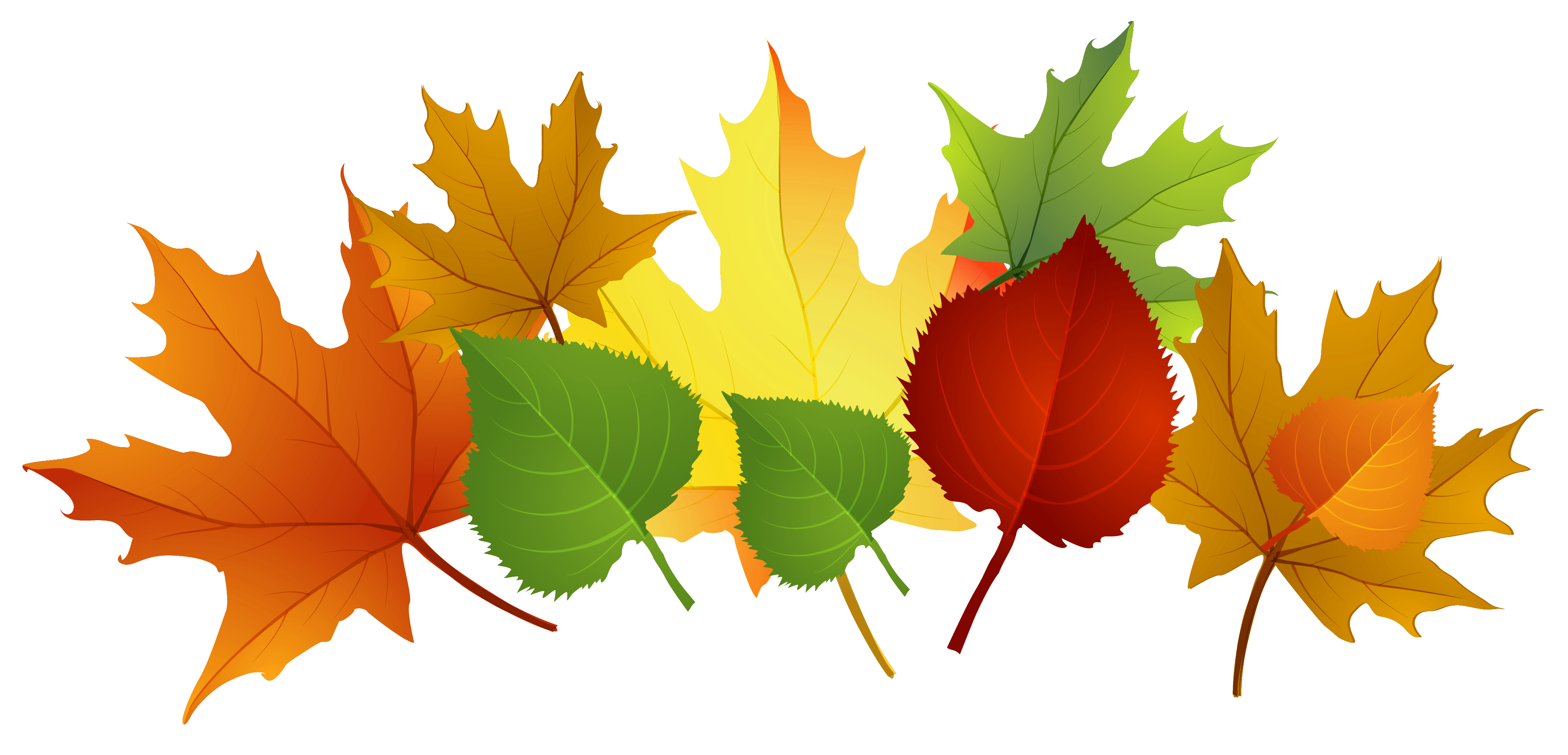 clipart for leaves - photo #25