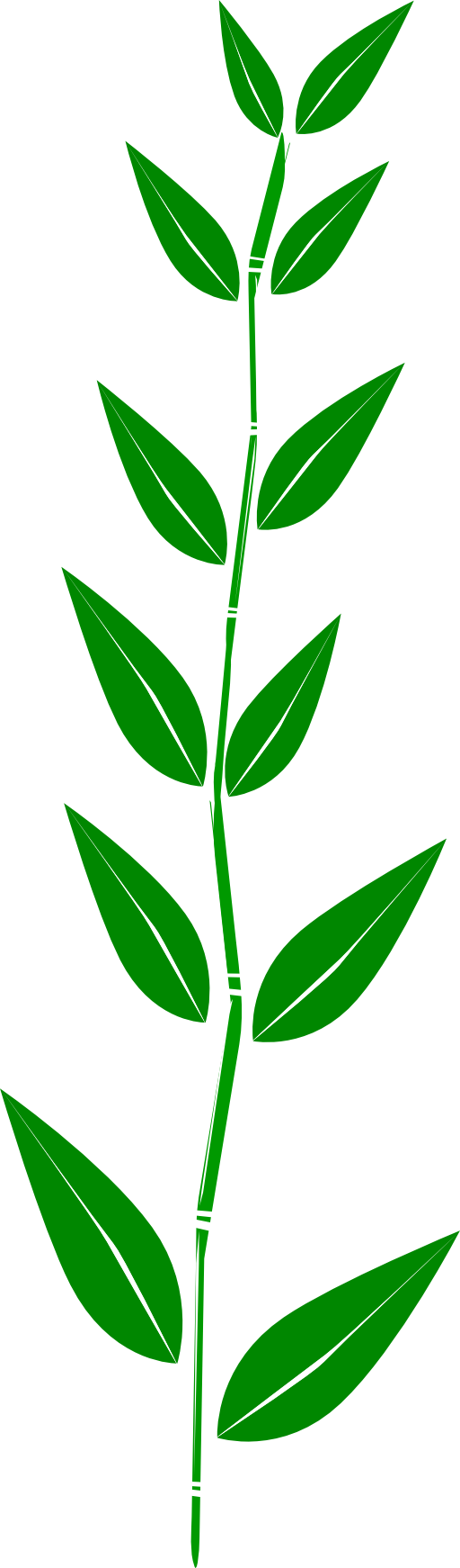 clipart of green leaves - photo #23
