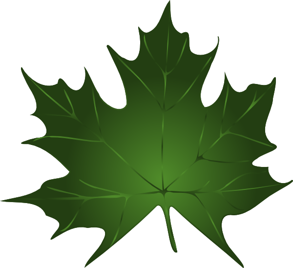 clip art pumpkin leaf - photo #14