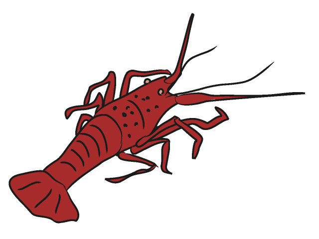 free cartoon lobster clip art - photo #34