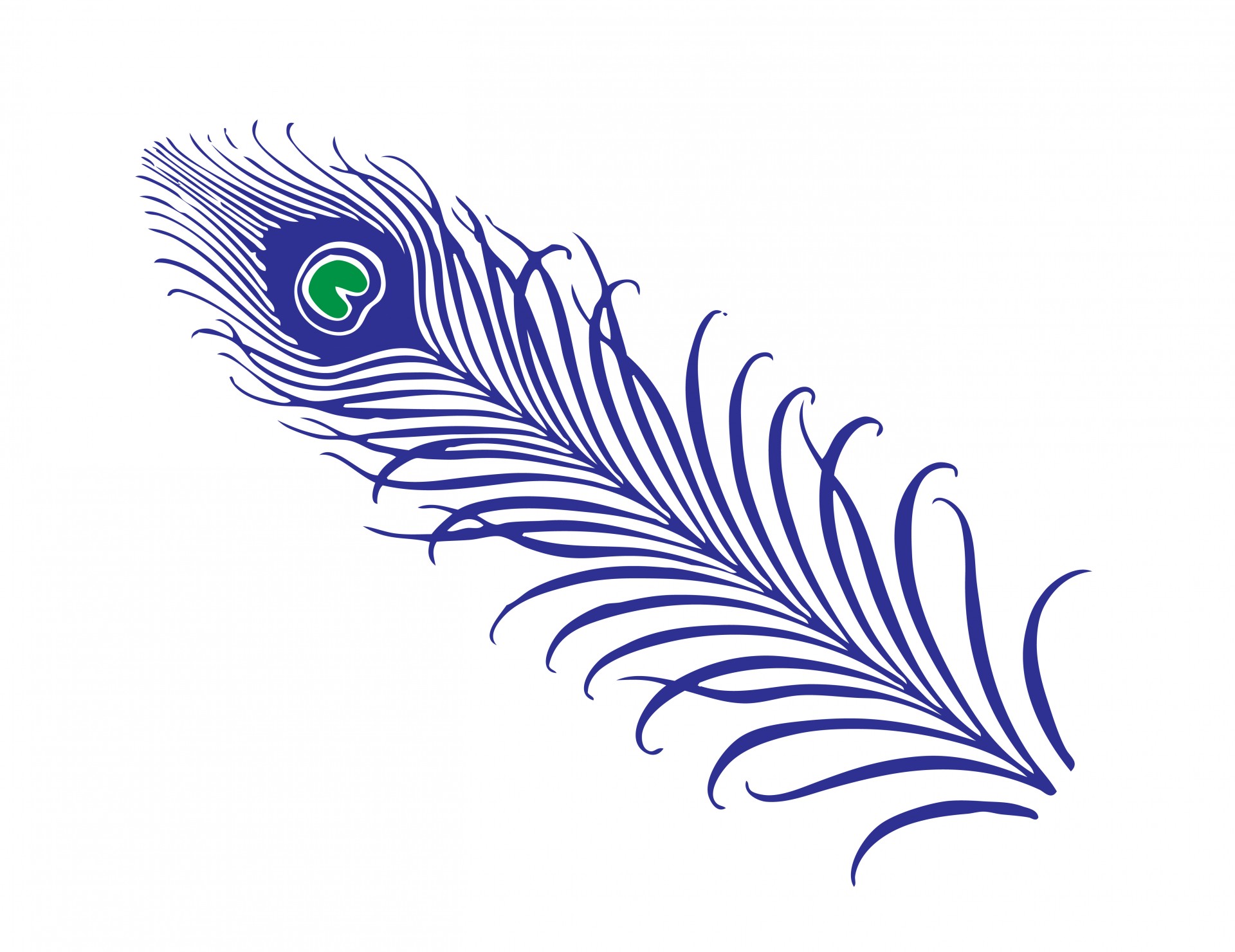 free black and white peacock clipart - photo #8