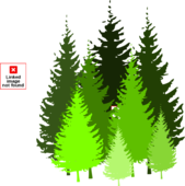 Pine Tree Clip Art At Vector Clip Art Image Clipartix