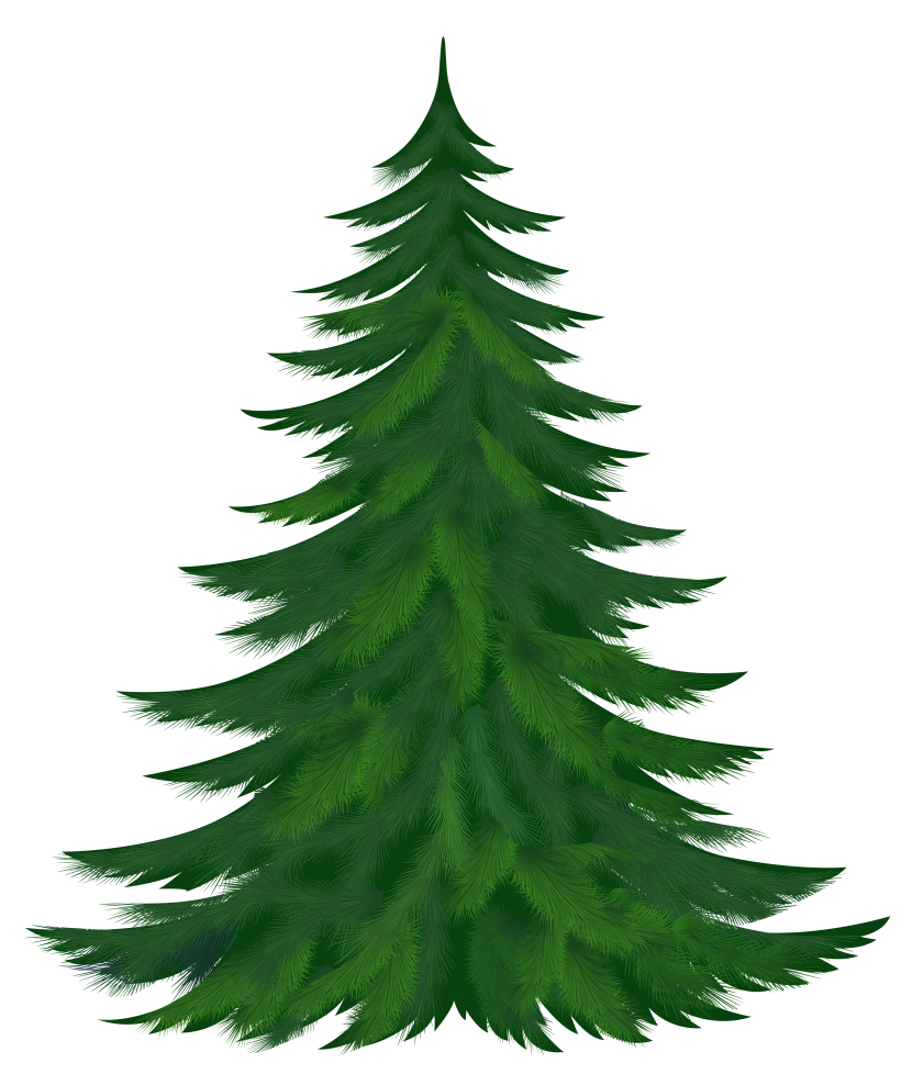 Pine tree clipart - Clipartix