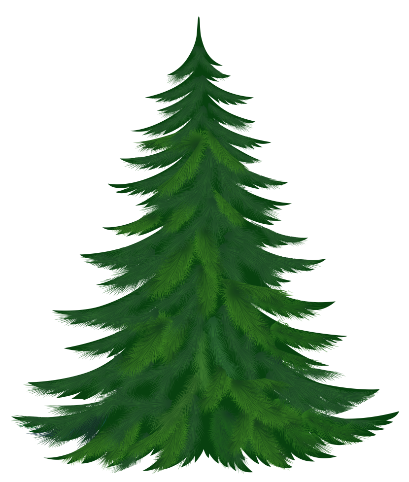 pine trees clipart - photo #4