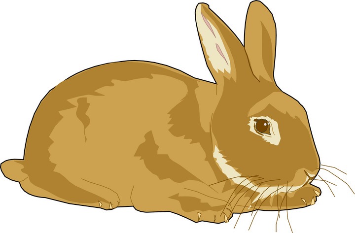 Rabbit clipart free clipart images image 4 - Clipartix