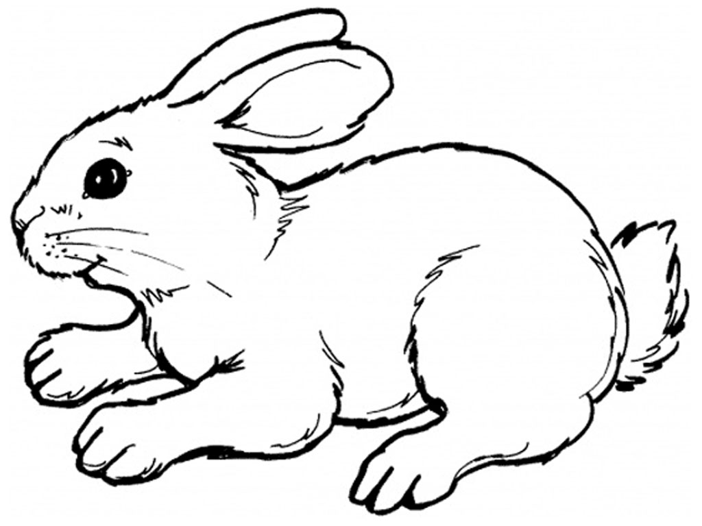 clip art cartoon rabbits - photo #50