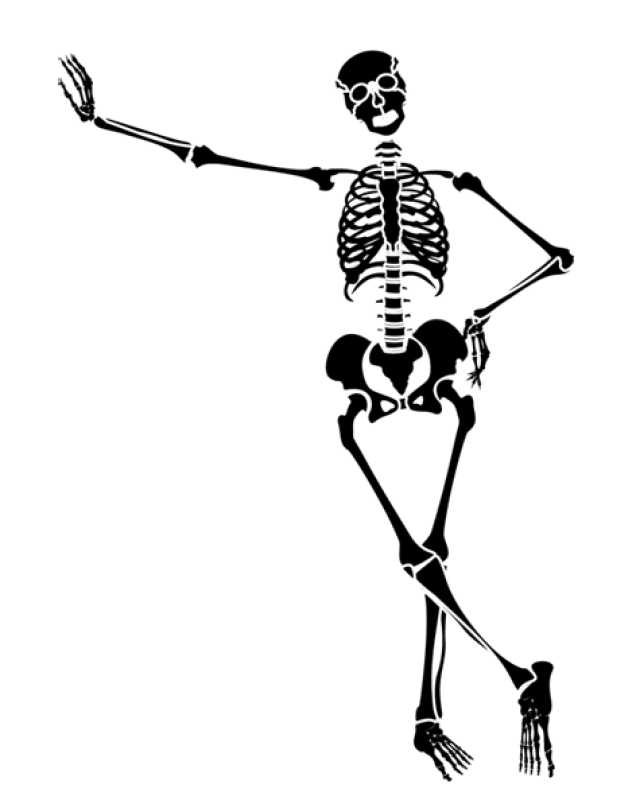 Skeletons For Halloween Decorations