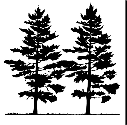 Free Pine Tree Clip Art Pictures - Clipartix