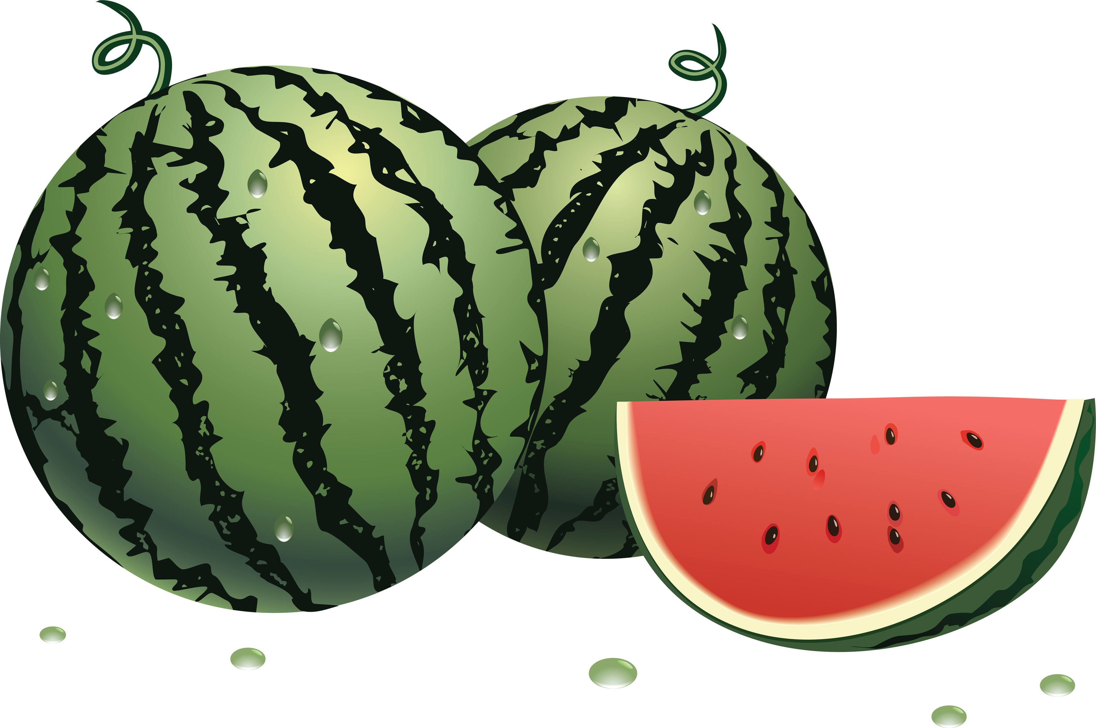 Watermelon 8 cliparts - Clipartix