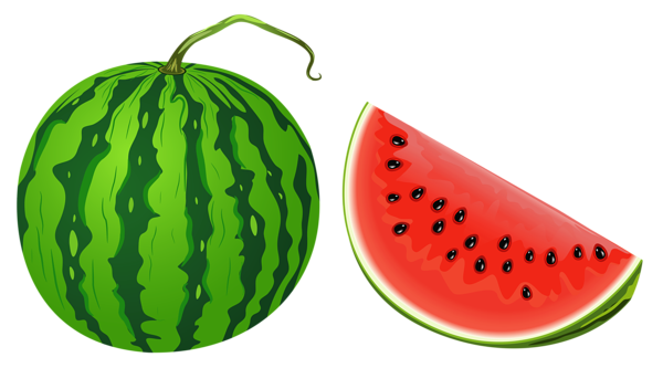 clipart of watermelon - photo #30