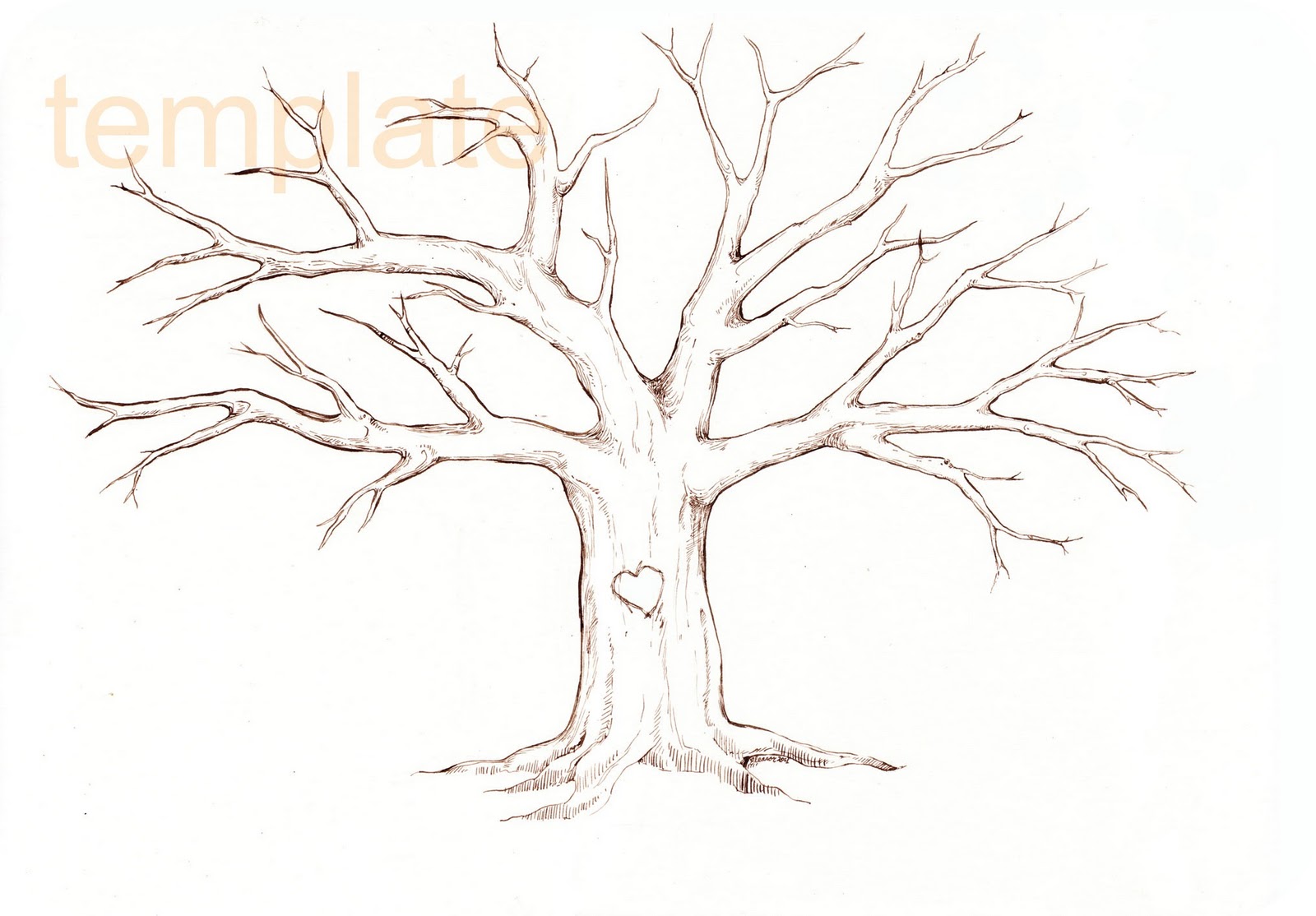 family tree clip art templates - photo #35