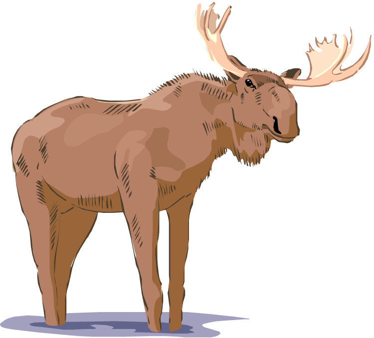 free clip art cartoon moose - photo #30