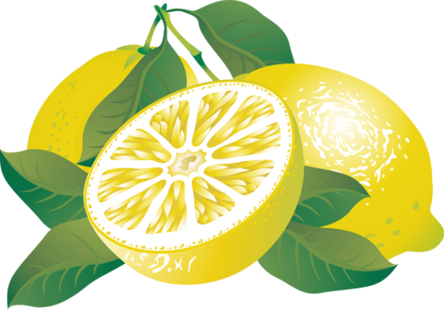 clipart lemon tree - photo #49