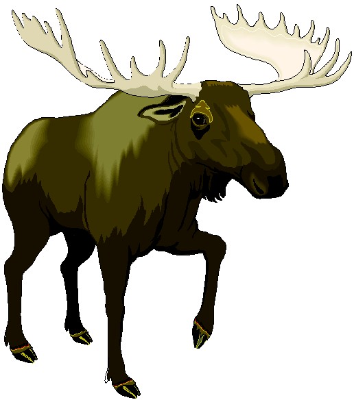 funny moose clipart - photo #40