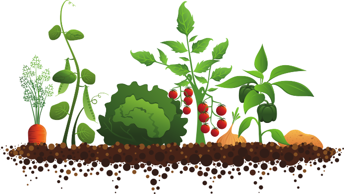 clipart garden plants - photo #13