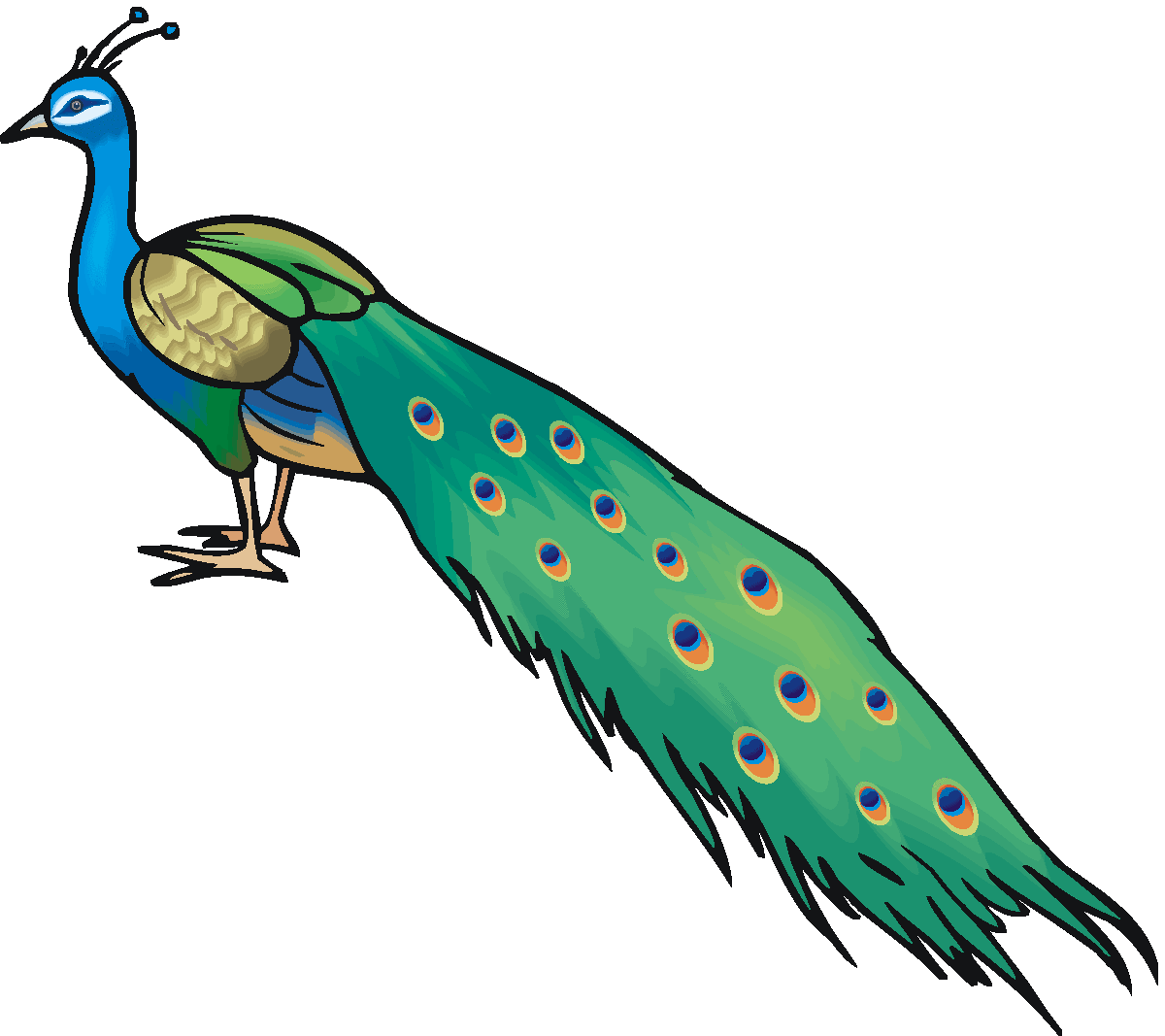 free black and white peacock clipart - photo #4