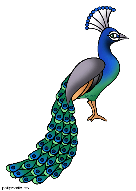 free black and white peacock clipart - photo #18