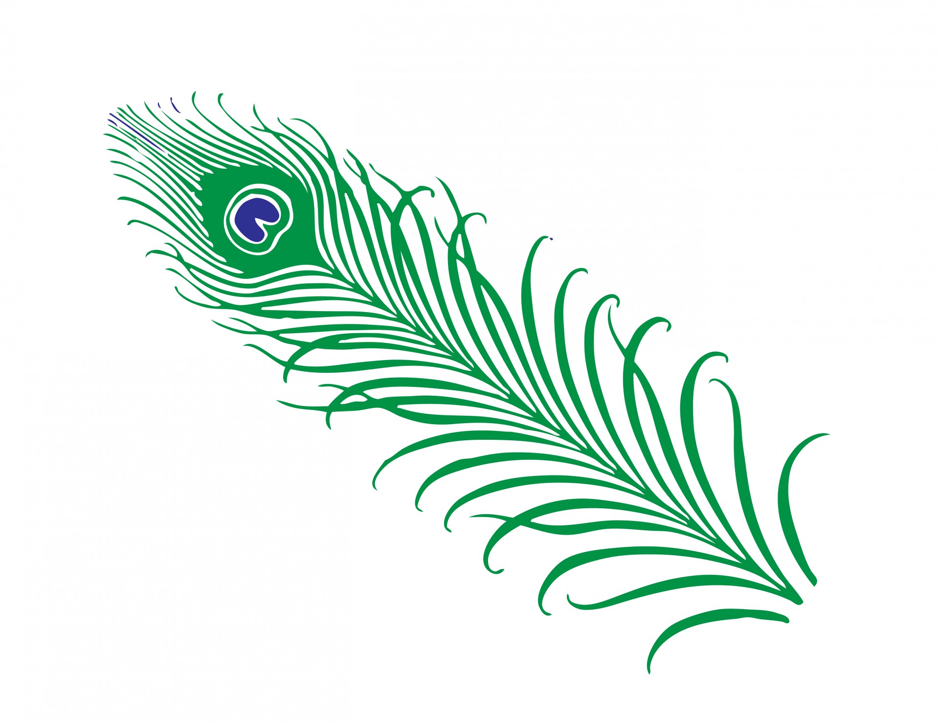clipart images of peacock - photo #47