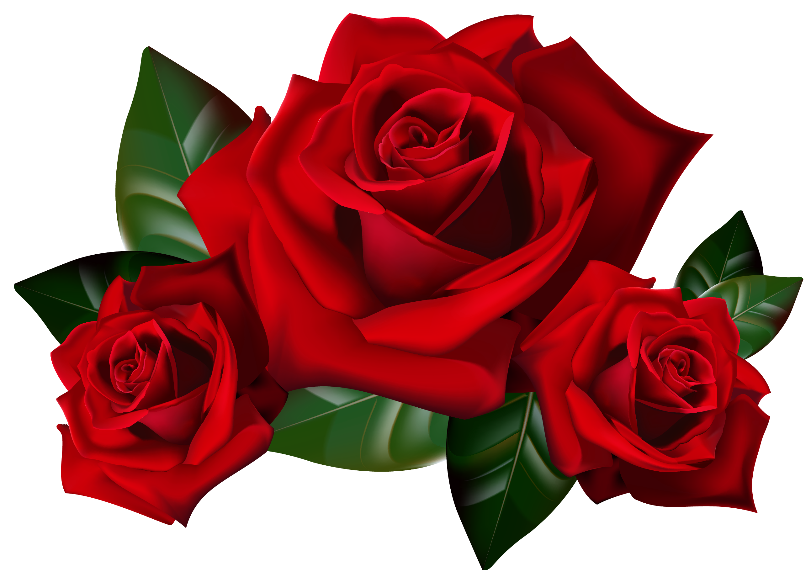 clipart roses pictures - photo #36