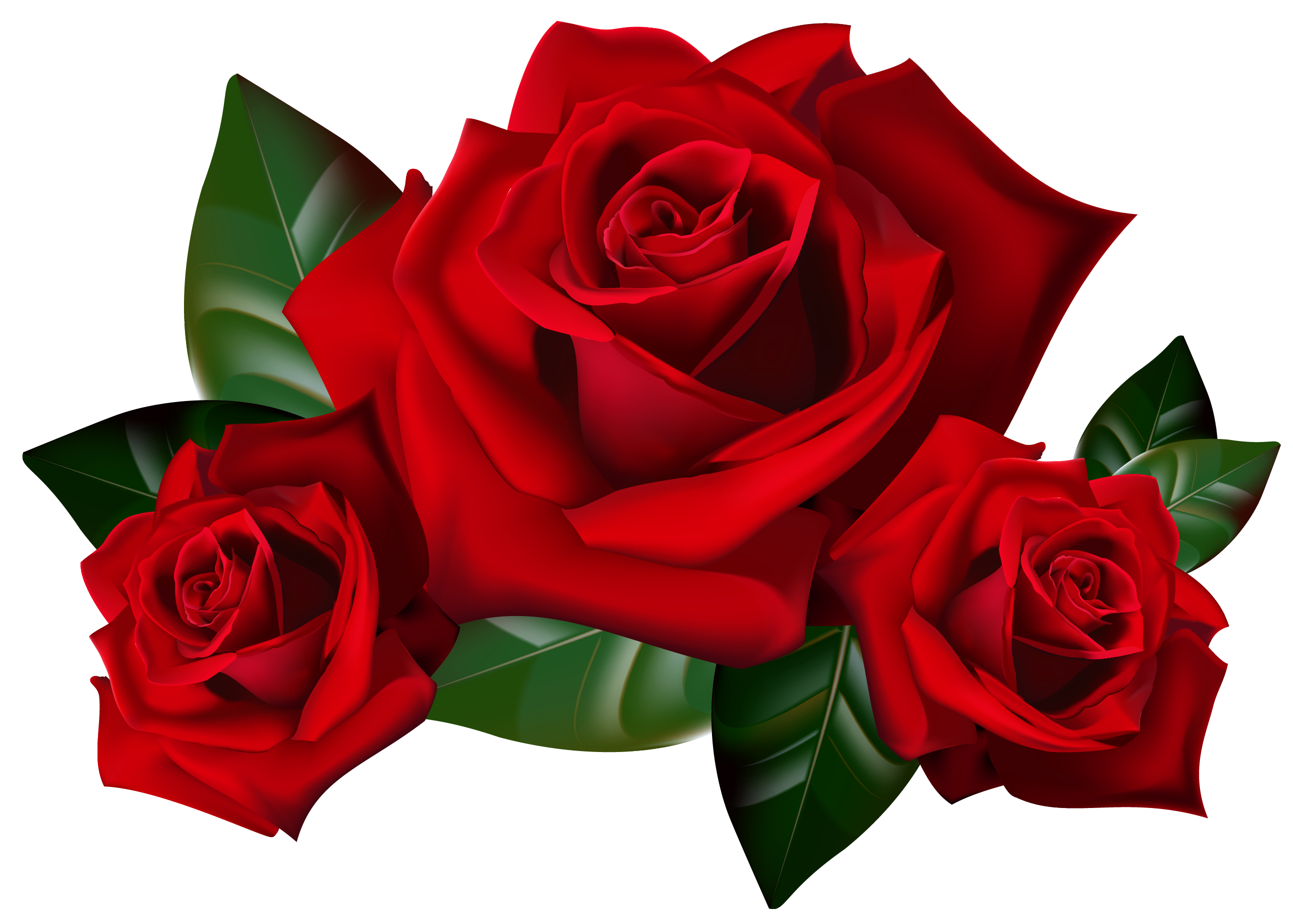 clipart flower rose - photo #41