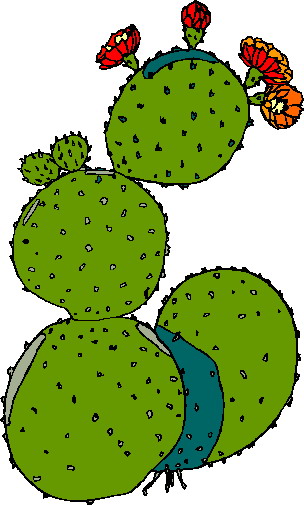 free black and white cactus clipart - photo #39