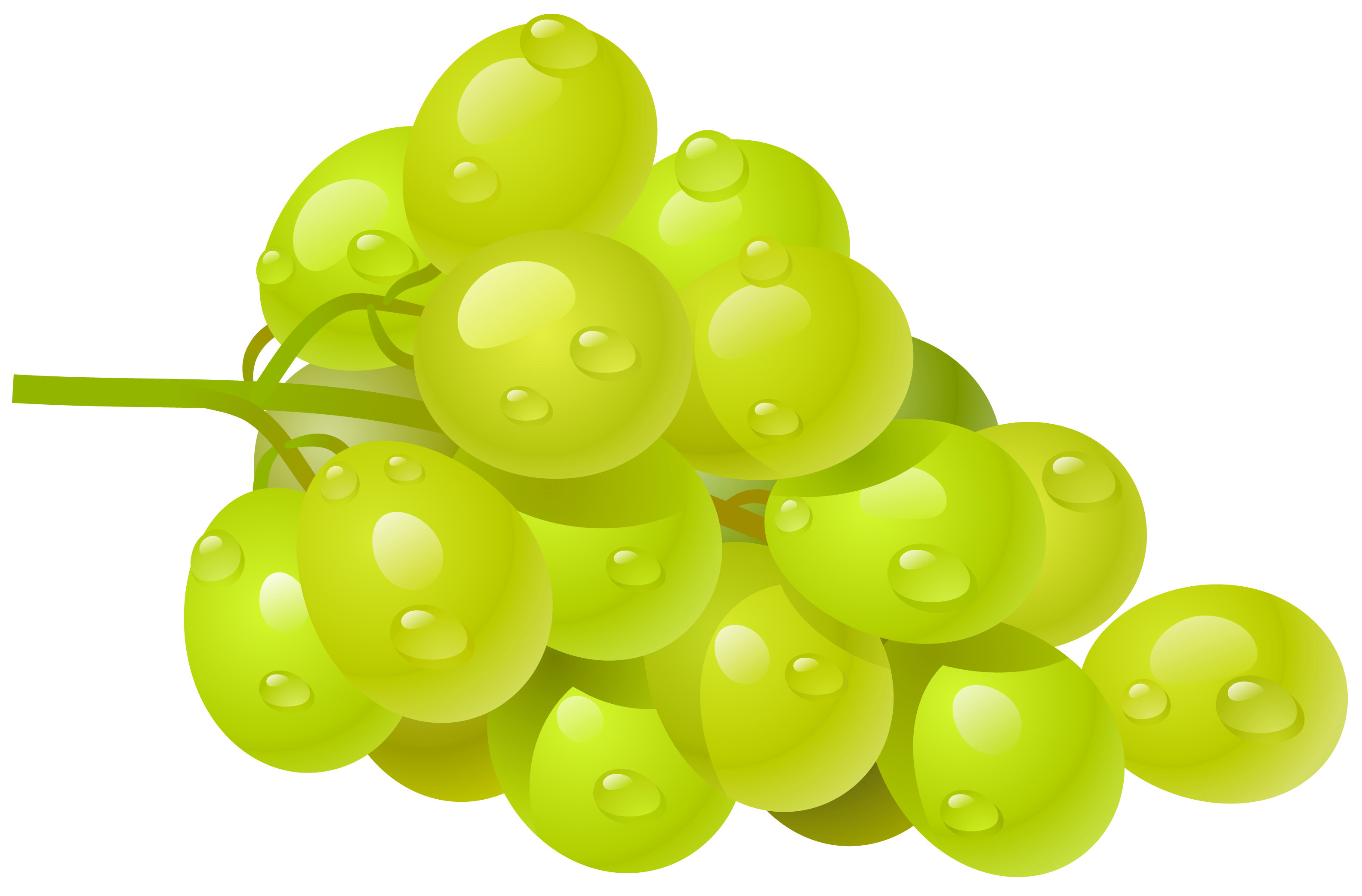 clipart of grapes - photo #30