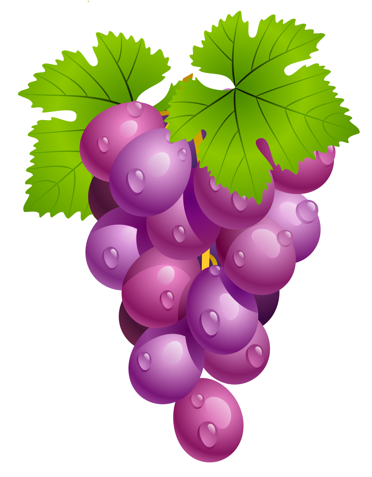 clipart of grapes - photo #11
