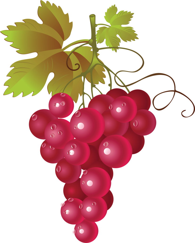 clipart grapes - photo #30