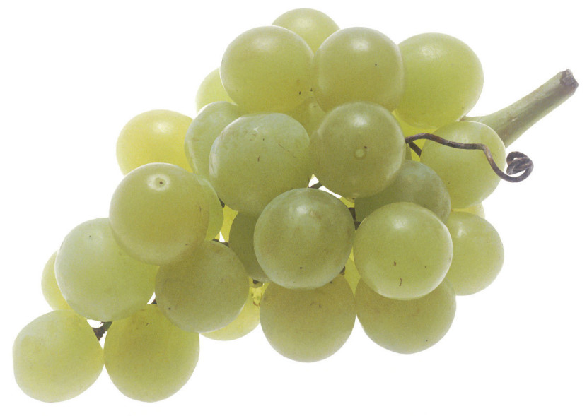 clipart green grapes - photo #11