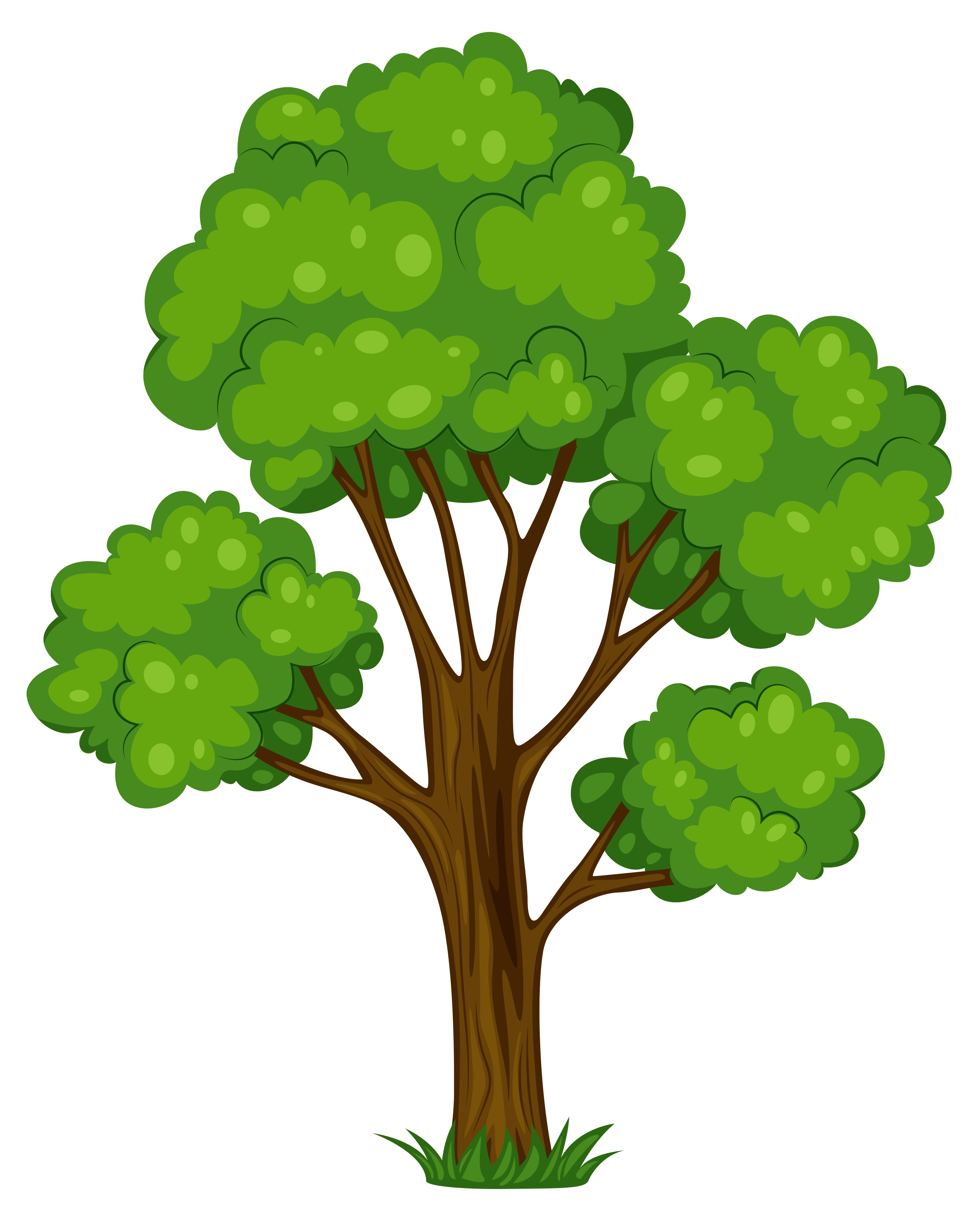 Free Trees Clipart Pictures Clipartix