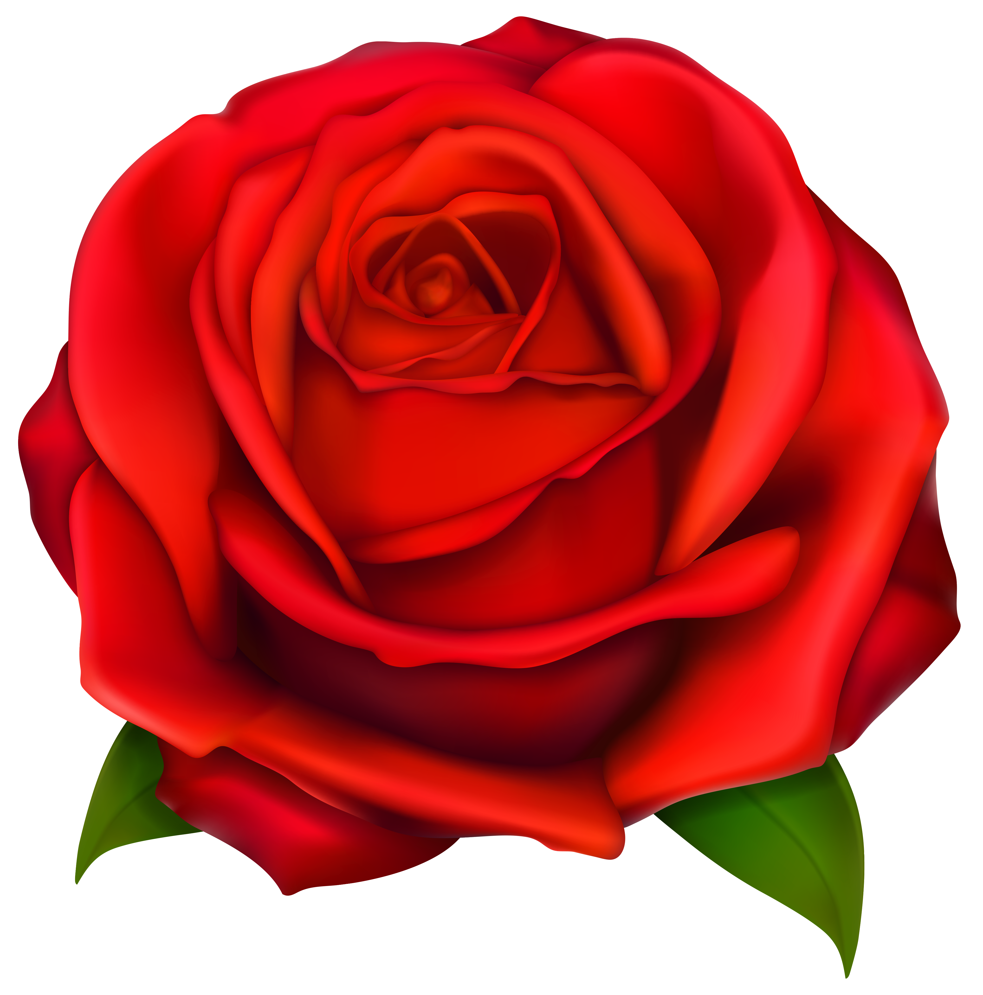 red roses clipart - photo #5