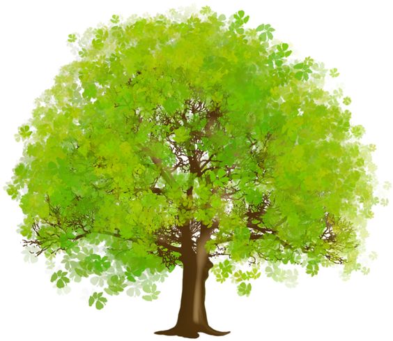 Free Trees Clipart Pictures - Clipartix