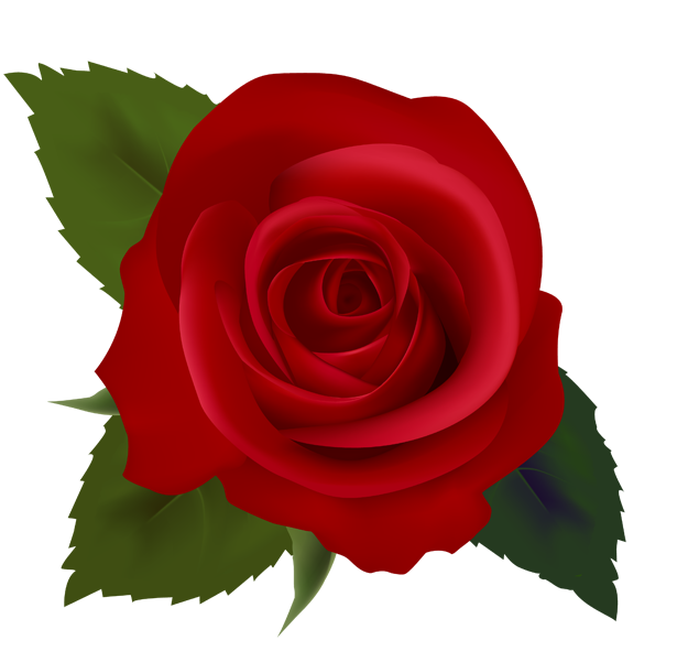 clipart red rose bud - photo #19