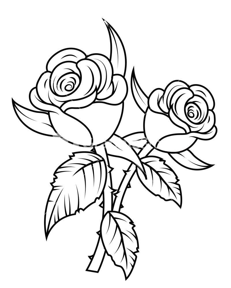 Red roses clipart roses for you red roses cliparting - Clipartix