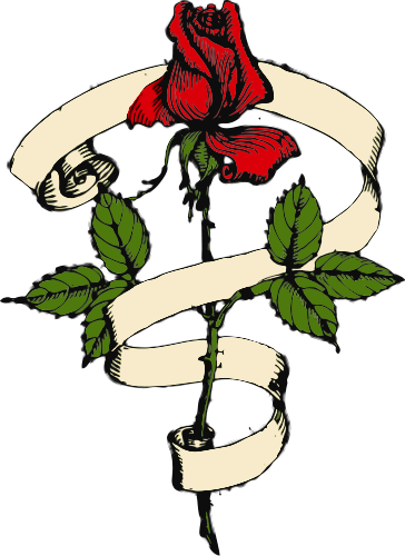 clip art white rose bud - photo #26