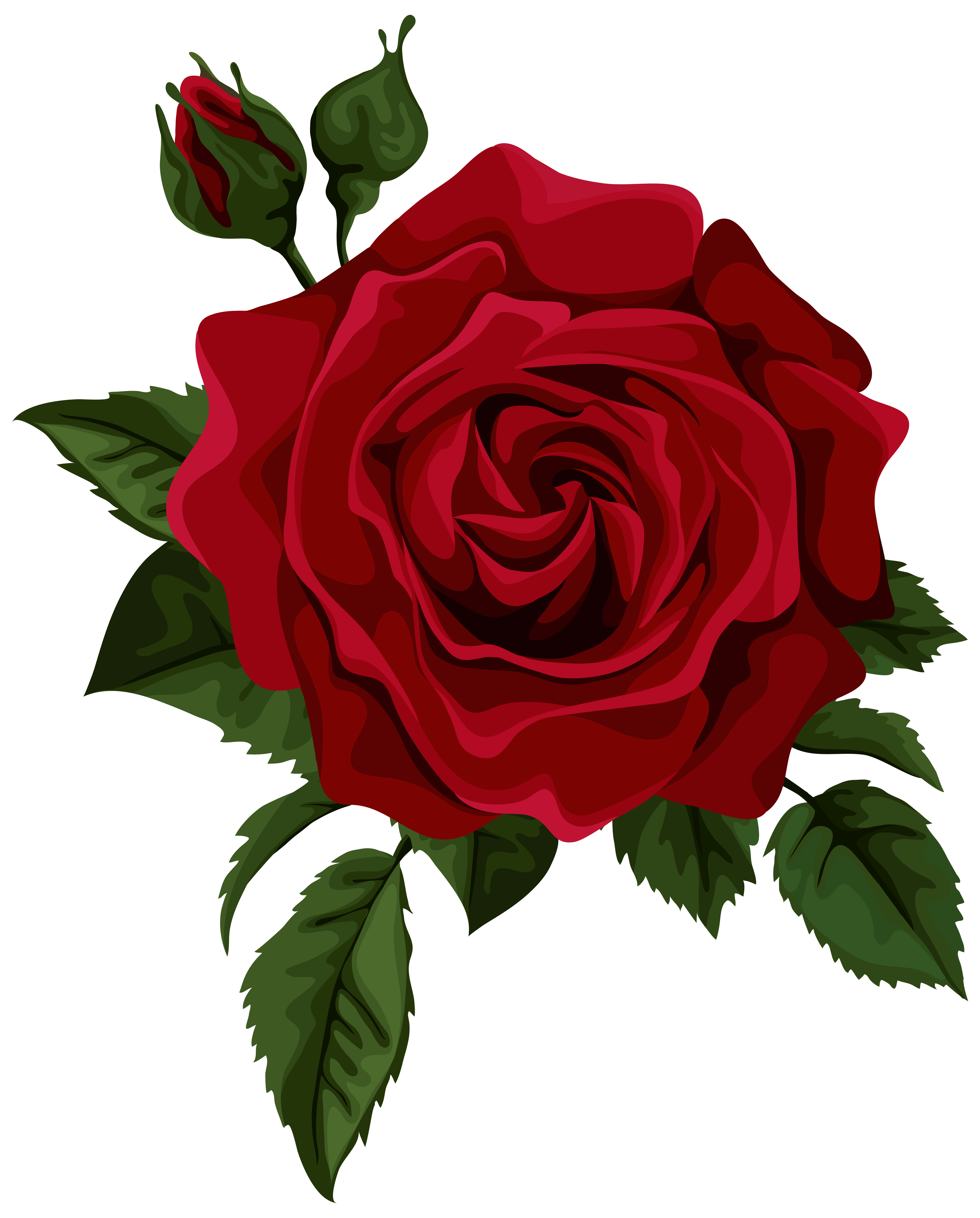 red roses clipart - photo #13
