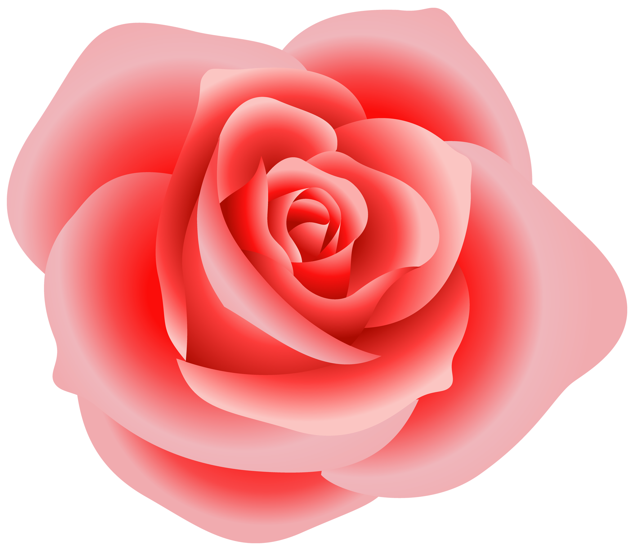 rose clip art png - photo #30