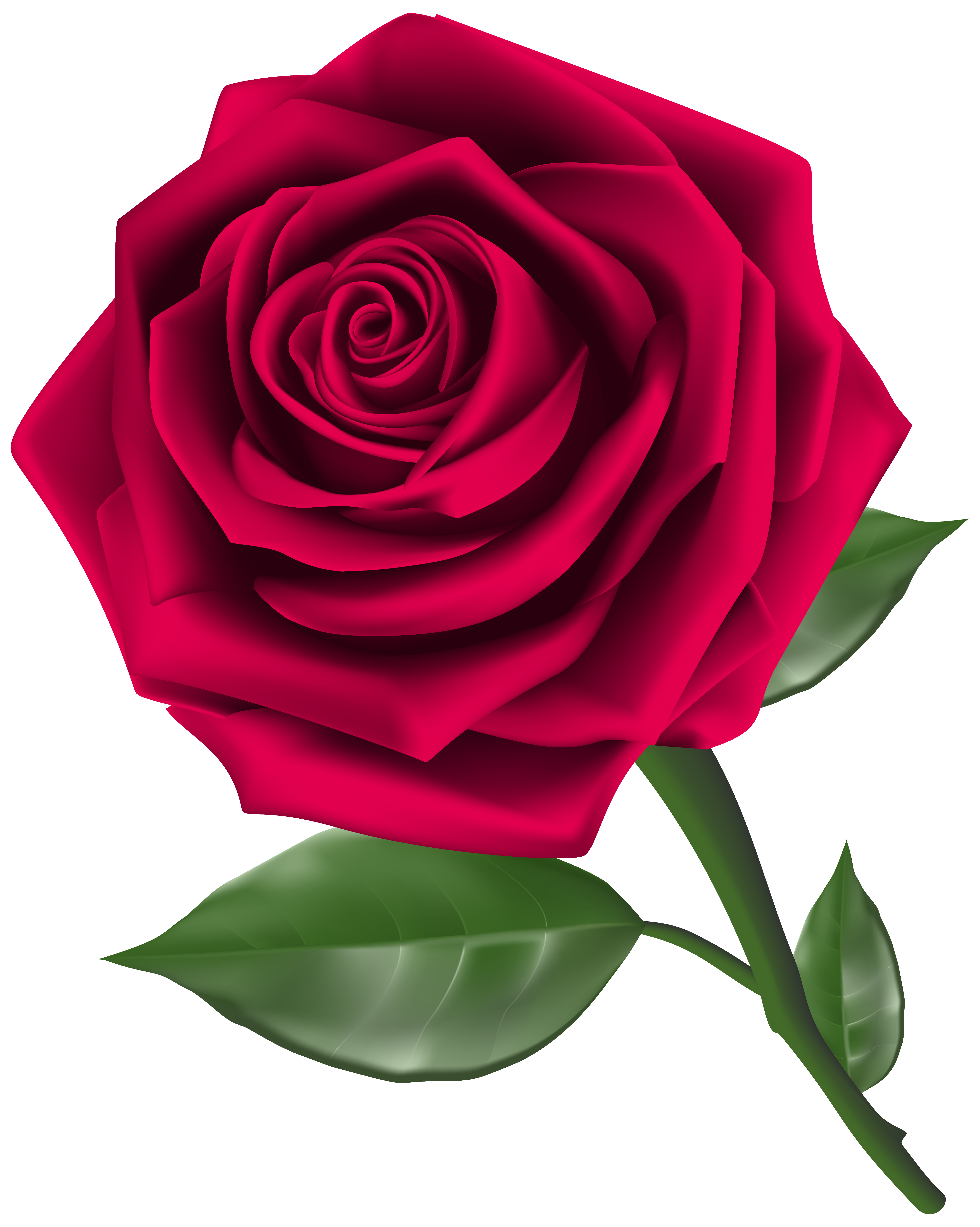 roses clipart images - photo #35