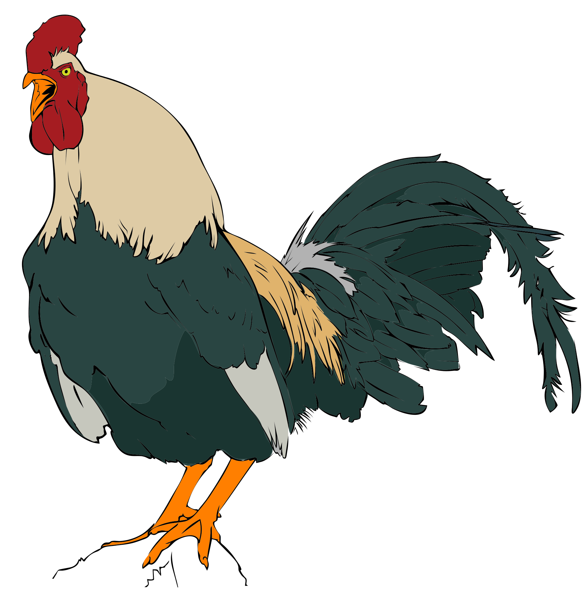 rooster animation clipart - photo #37