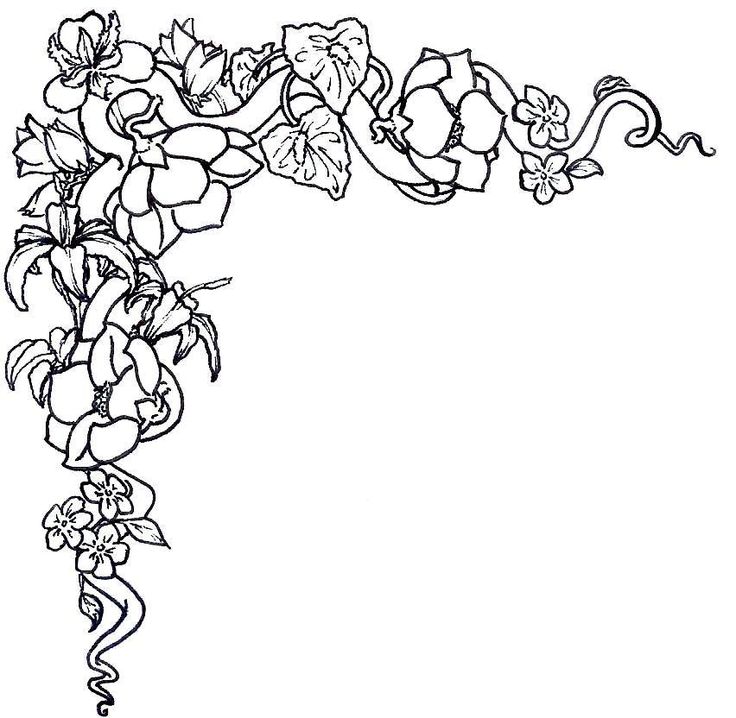 clipart flowers black and white borders - photo #14