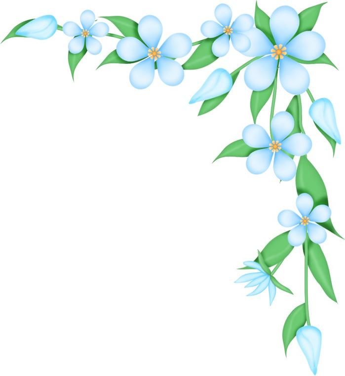 clipart spring flowers border - photo #41